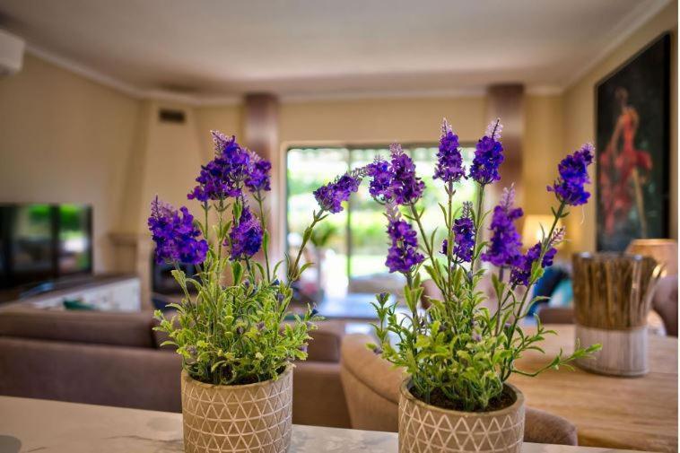 2Bedroom Bungalow Heated Shared Pool ,Near Carvoeiro And Ferrugudo Экстерьер фото
